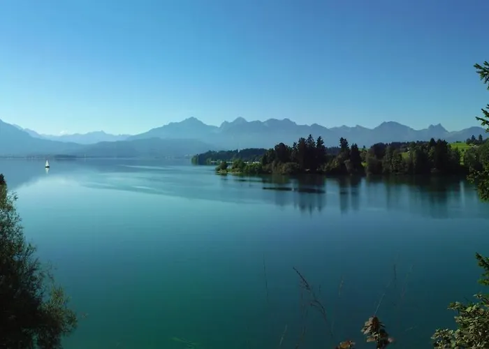 Neuschwansteinblick 106 *