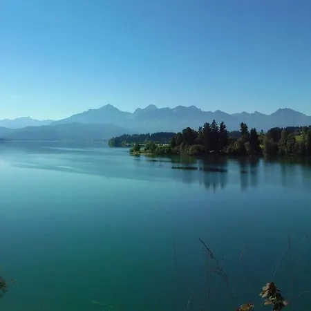 Neuschwansteinblick 106 *